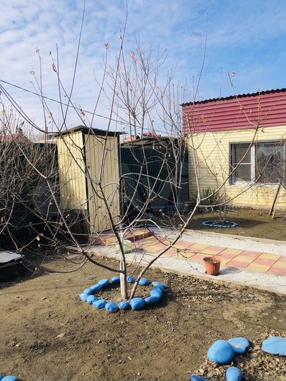 Дом 99,1 м² на участке 3 сот.