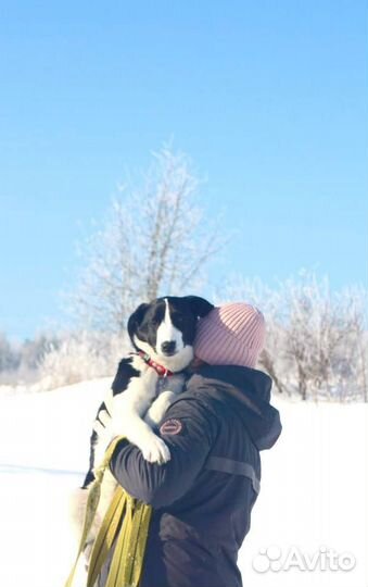 6 мес., будет не большой