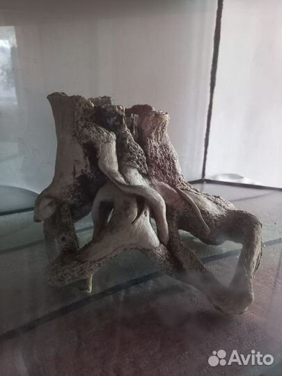 Аквариум для рыбок