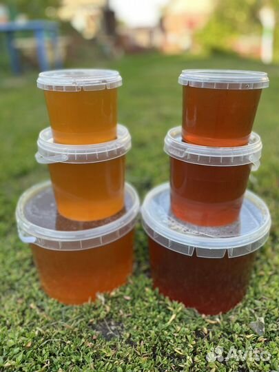 Башкирский мед, пыльца и проплс, Кджрм