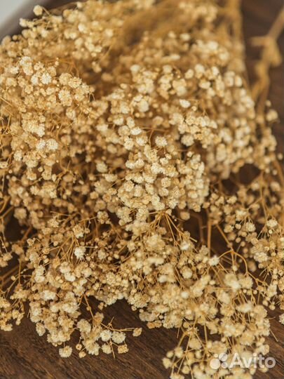 Сухоцветы букет