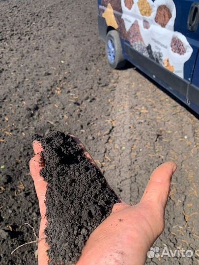 Чернозем Тамбовский