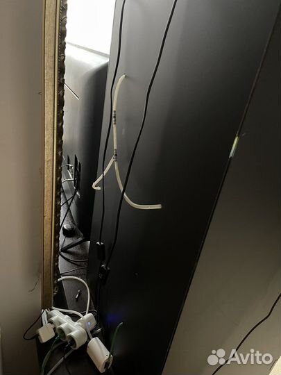 Большой террариум с хамелеоном и живыми растениями