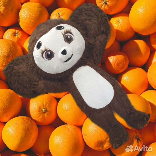 Медведь на праздник