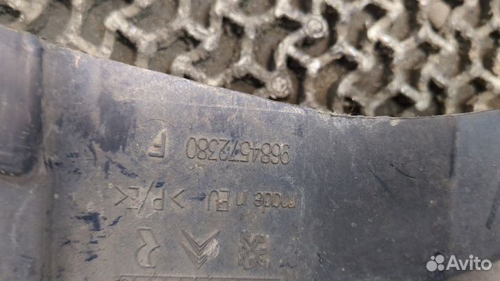 Защита арок (подкрылок) Citroen C3 picasso, 2010