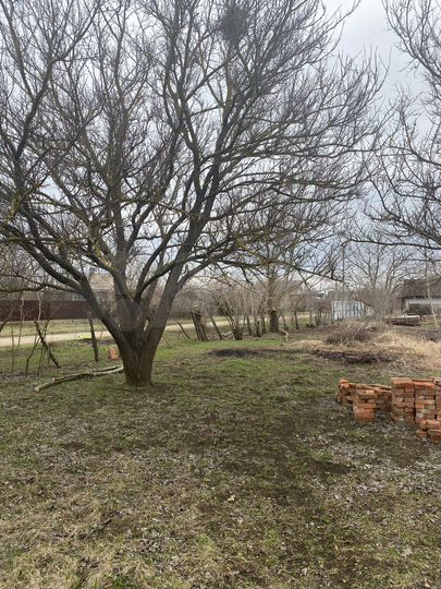 Дом 33 м² на участке 35 сот.