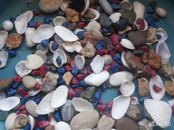 Камни и ракушки для аквариума