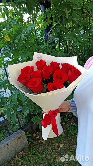 Розы Эквадор 50 см 11шт