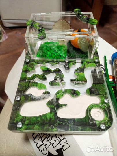 Муравьиная ферма / формикарий