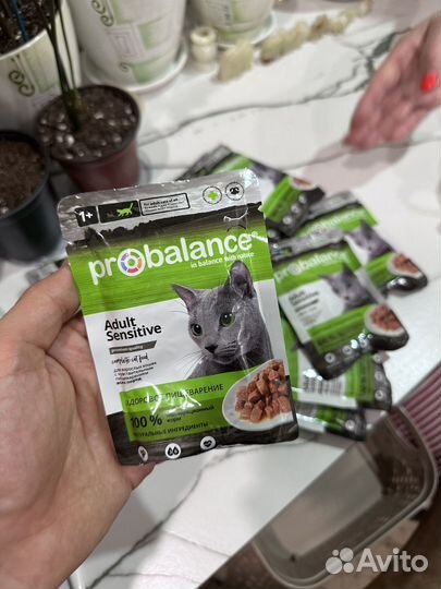 Влажный корм для кошек Probalance