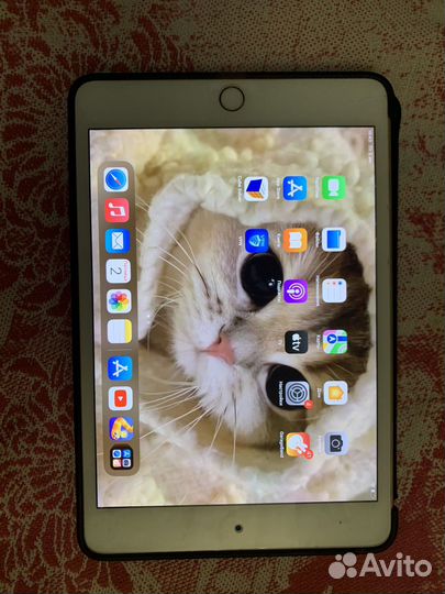 iPad mini 5