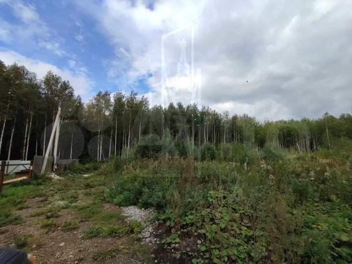 Участок 18,9 сот. (СНТ, ДНП)