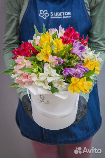 Букет из 9 альстромерий в шляпной коробке, цветы д