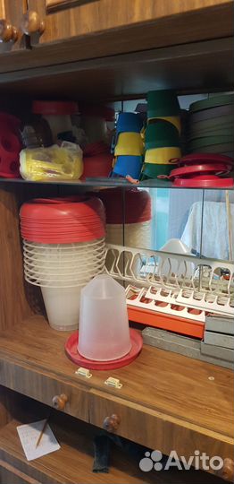 Кормушки и поилки для птицы