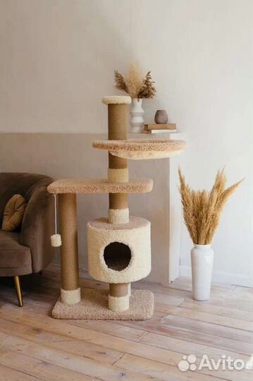 Когтеточка