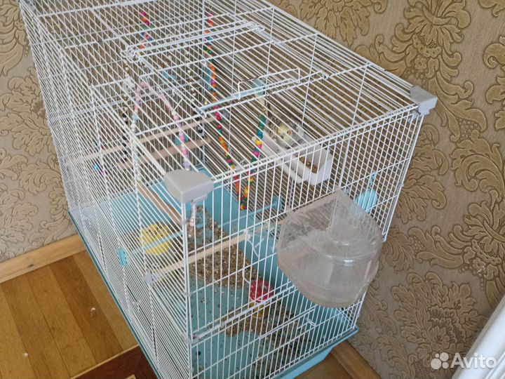 Попугай вместе с клеткой
