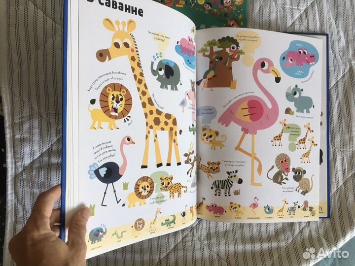 Большая викторина. Развивающие книги