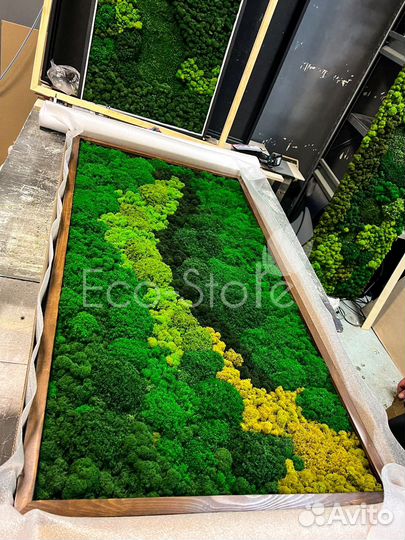 Панно из мха в подарок