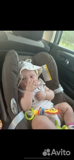 Коляска stokke xplory 3 в 1