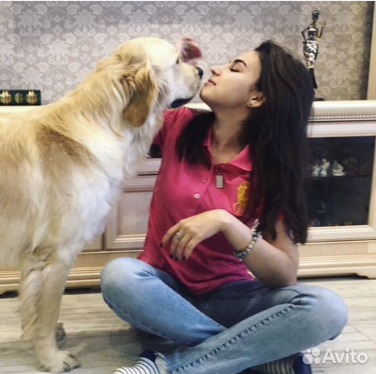 Передержка животных