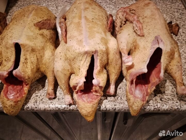 Мясо уточек домашних