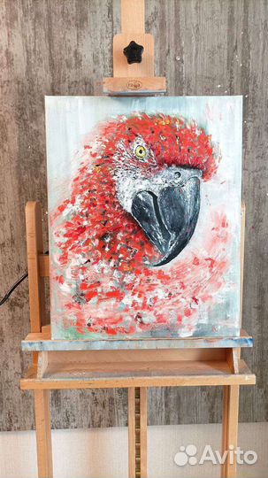 Картина маслом Попугай