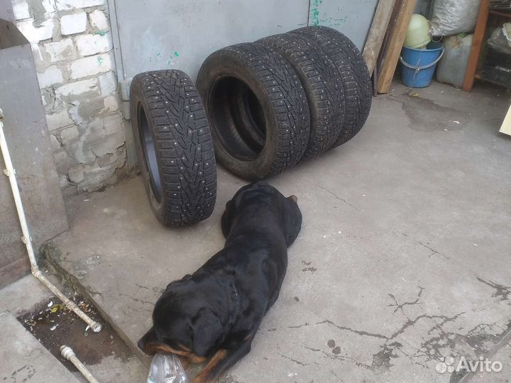 Nokian Tyres Nordman 7 205/65 R16