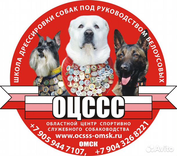 Дрессировка собак Омск 