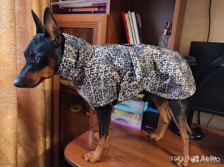 Одежда для собак, подстилки, шнурок