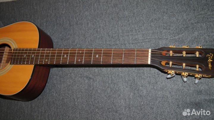 Takamine TSN-500, Japan. Массив. Видео