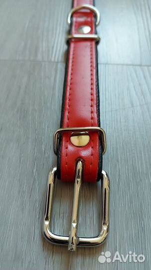 Ошейники для собак