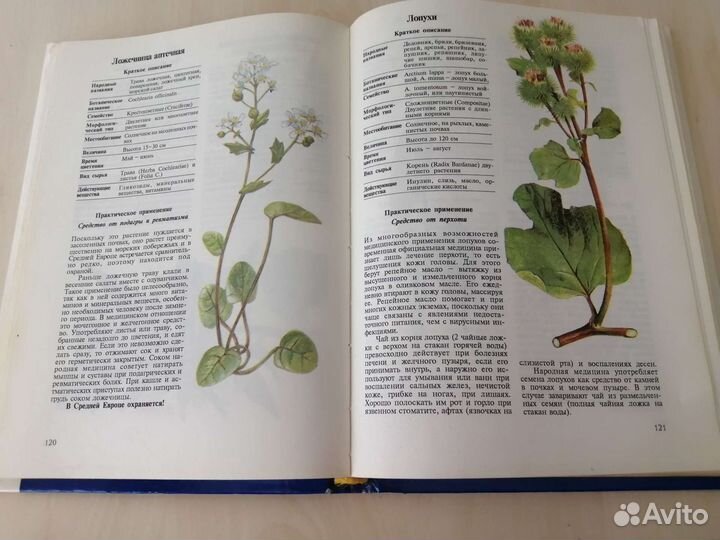 Книги по оздоровлению