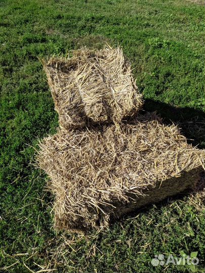 Солома ячменная в тюках