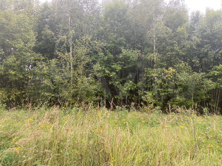 Участок 11,3 сот. (СНТ, ДНП)