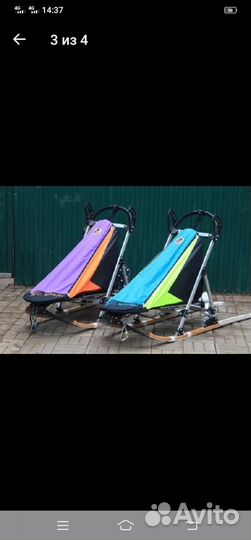 Нарты для собак