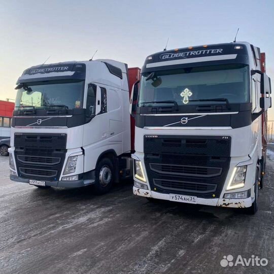 Скотовоз, перевозка скота