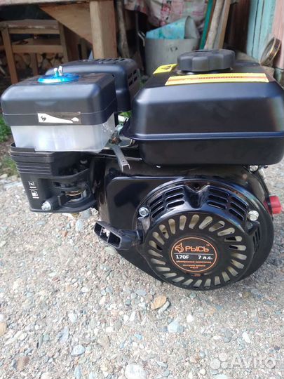 Бензиновый двигатель рысь