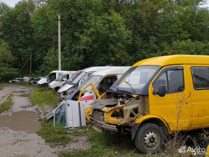 Газель разбор