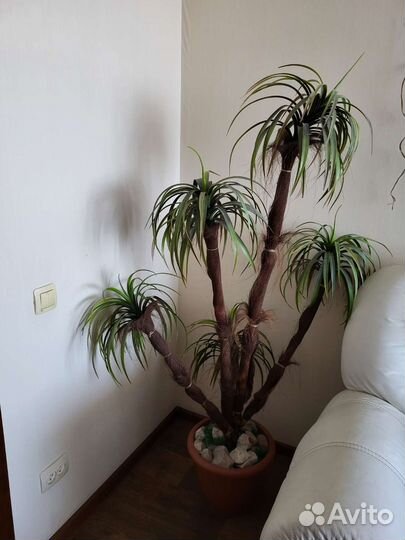 Искусственная пальма