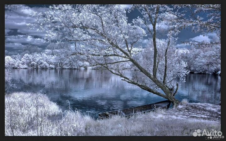 Инфракрасный фотоаппарат Nikon