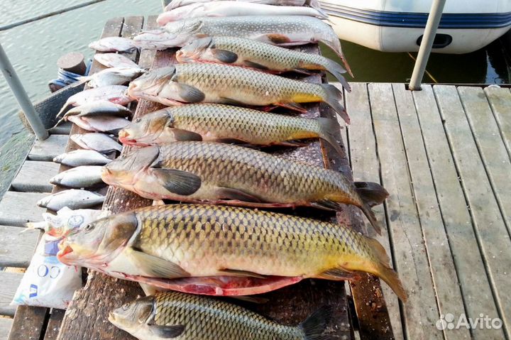 Рыбалка в Астрахани База отдыха