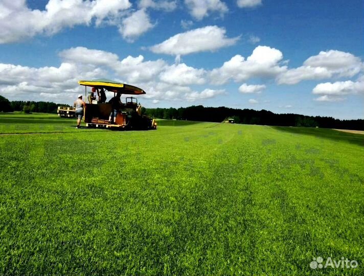 Рулонный газон