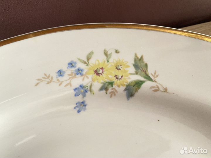 Огромная тарелка Дулево