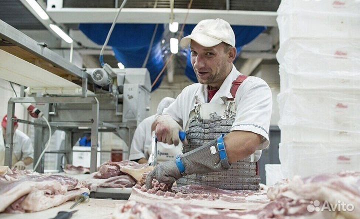 Подсобный рабочий на мясокомбинат(вахта)