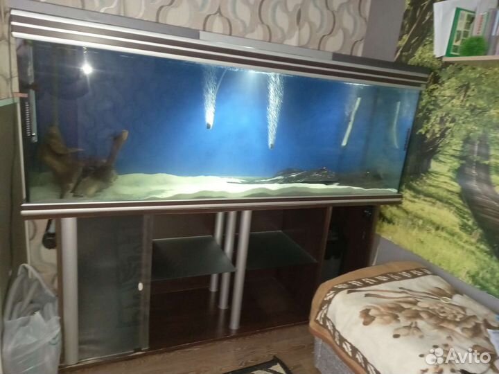 Аквариум 900 литров
