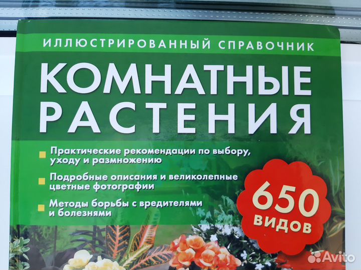 Книга Комнатные растения