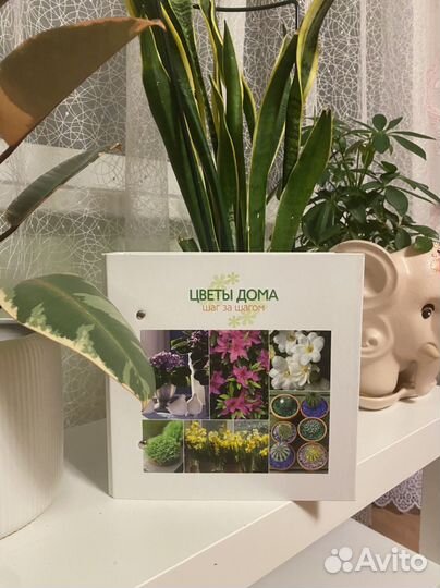 Отдам книгу цветы у дома