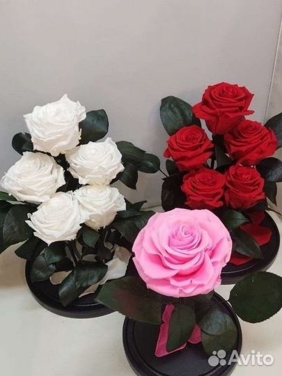 Роза в колбе оптом