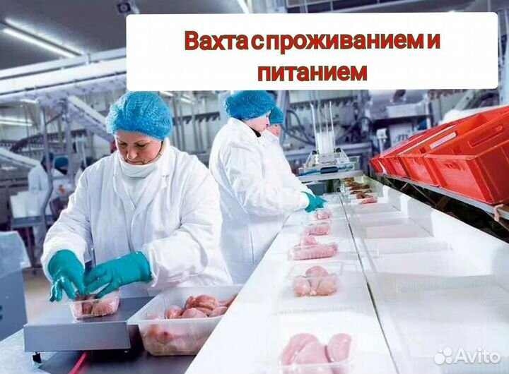 Упаковщица, Вахта с проживанием и питанием
