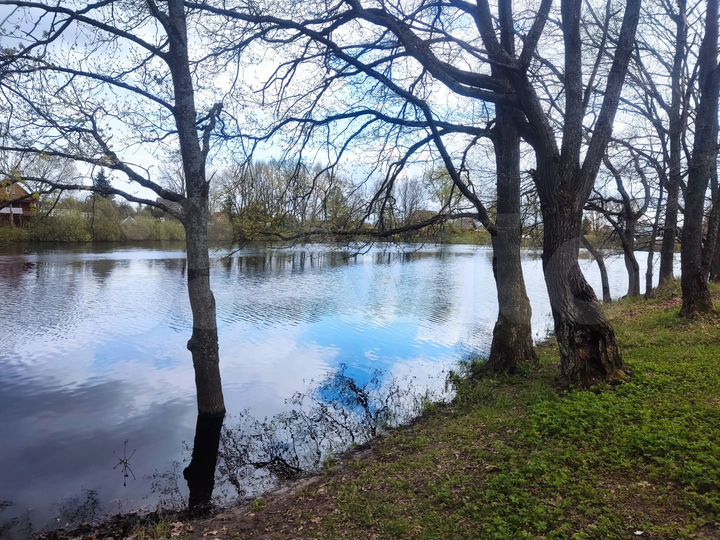 Дача 58 м² на участке 5 сот.